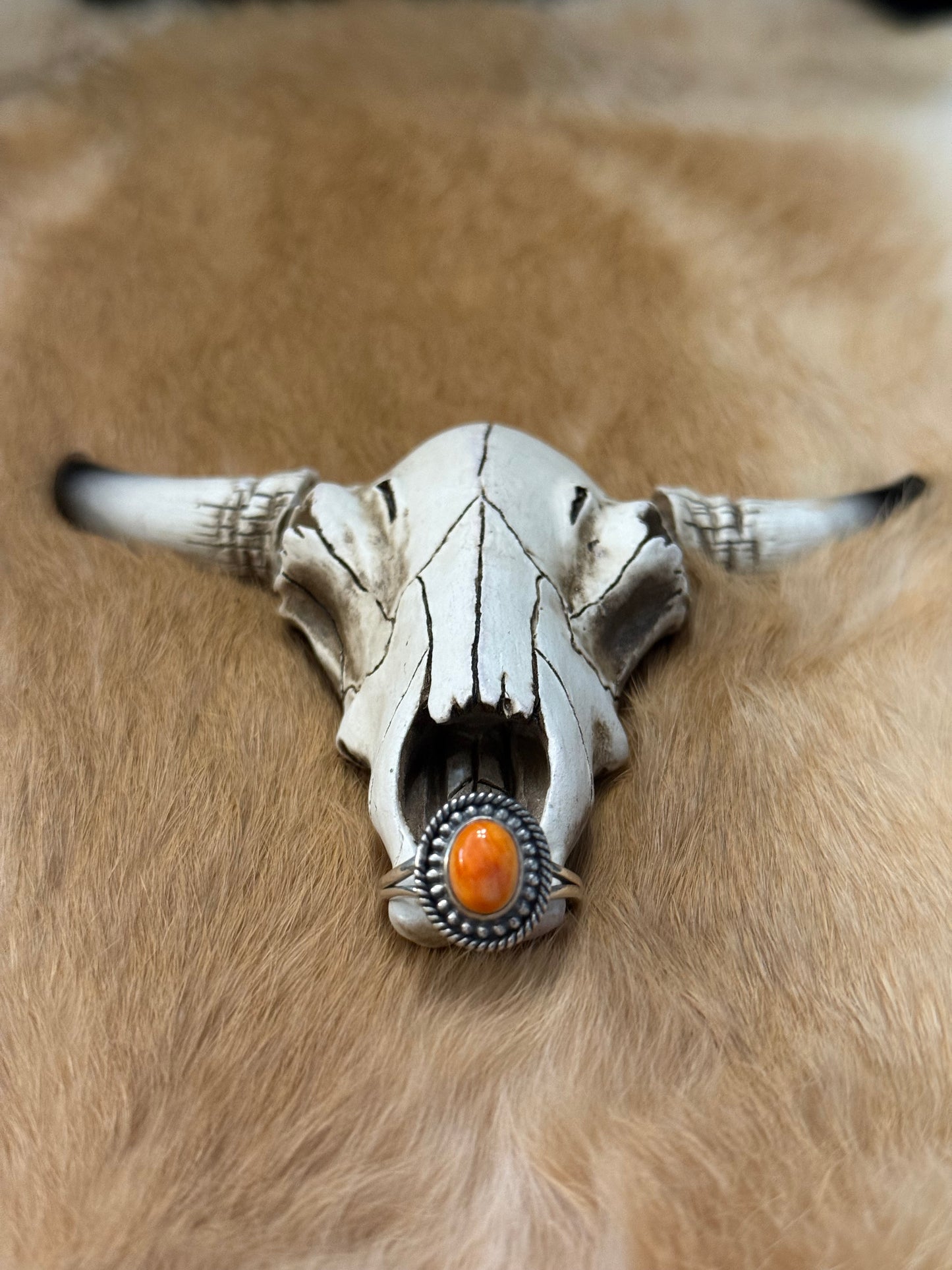 Sterling Silver Orange Spiny Oyster Ring
Details
* Stone: Natural Orange Spiny Oyster
* Metal: Sterling Silver
* Style: Southwest / Western
* Design: Oval cabochon with traditional rope border and split shank
* Size: Add Ring Size
Celebrate the rich co