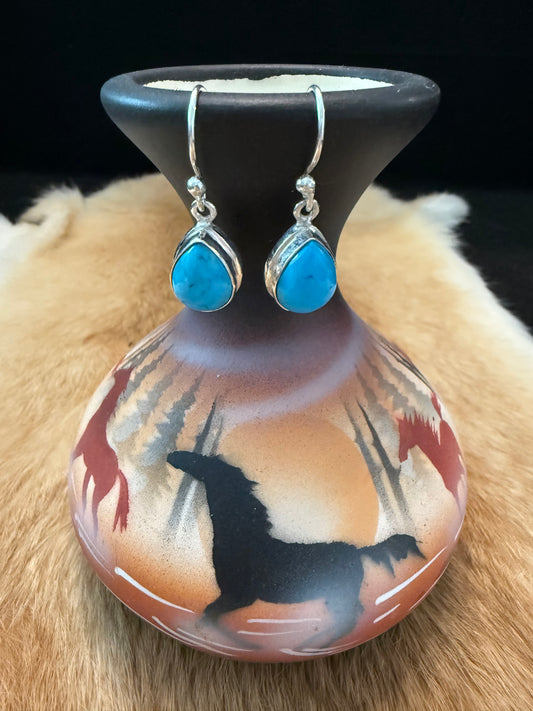 Southwest Sleeping Beauty Turquoise Drop Earrings
