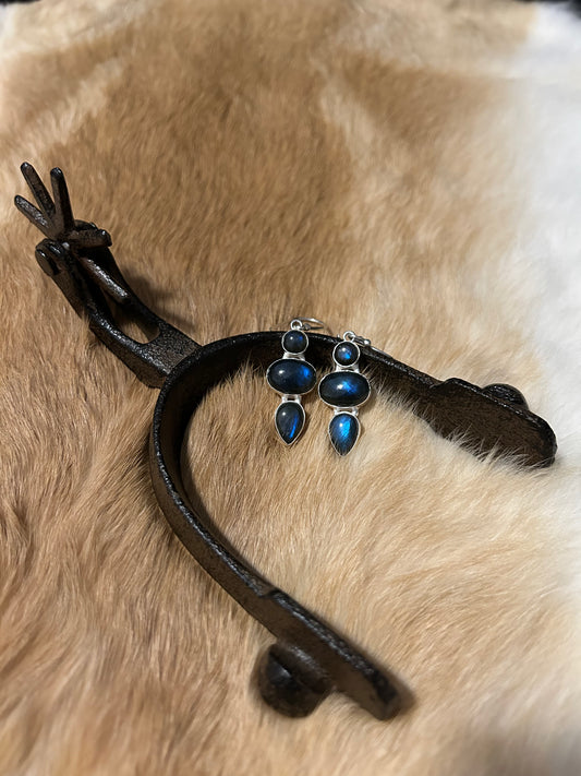 Midnight Mesa Earrings