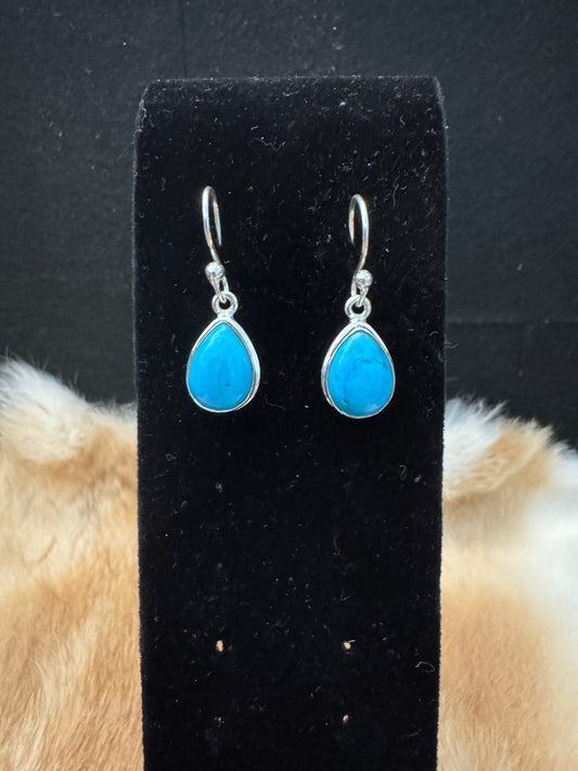 Sleeping Beauty Turquoise Earrings